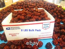 100% ORGANIC Dried Jujube Date California Grown? Hong Zao táo tàu