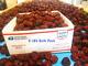 100% Organic Dried Jujube Date California Grown? Hong Zao Táo Tàu
