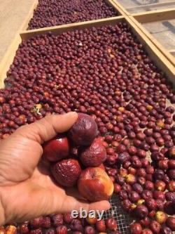 100% ORGANIC Dried Jujube Date California Grown? Hong Zao táo tàu