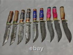 10 PCS CUSTOM HANDMADE DAMASCUS STEEL 10 SKINNER HUNTING KNIVES With SHEATH USA