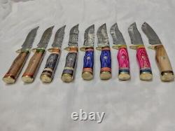 10 PCS CUSTOM HANDMADE DAMASCUS STEEL 10 SKINNER HUNTING KNIVES With SHEATH USA