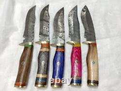 10 PCS CUSTOM HANDMADE DAMASCUS STEEL 10 SKINNER HUNTING KNIVES With SHEATH USA