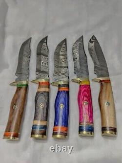 10 PCS CUSTOM HANDMADE DAMASCUS STEEL 10 SKINNER HUNTING KNIVES With SHEATH USA