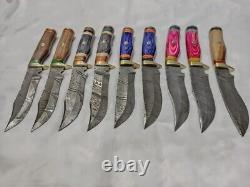 10 PCS CUSTOM HANDMADE DAMASCUS STEEL 10 SKINNER HUNTING KNIVES With SHEATH USA
