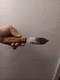 52100 Bushcraft Knife(made In Usa)
