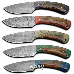 5 PCS Handmade DAMASCUS STEEL Custom PINE CONE Hunting Skinner Knife WithSheath