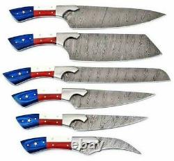 6PiC New Custom HandMade Damascus Steel Chef's Knife Set WithUSA Flag Handle &Bag