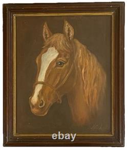 Antique American Folk Art Primitive Naive Horse Portrait Oil Painting Aafa