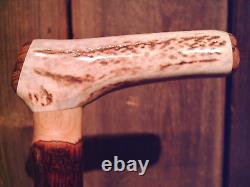 Antler handle walking stick cane MAPLE wood shaft very stiff CUSTOM MADE IN USA