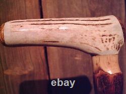 Antler handle walking stick cane MAPLE wood shaft very stiff CUSTOM MADE IN USA