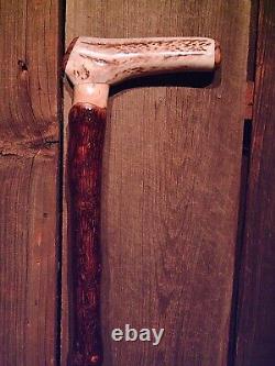 Antler handle walking stick cane MAPLE wood shaft very stiff CUSTOM MADE IN USA