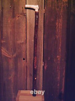 Antler handle walking stick cane MAPLE wood shaft very stiff CUSTOM MADE IN USA