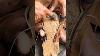 Asmr Simple Stitching Wth Tool Usa Leathercraft Diyleathercraft Handstitched Leathercraftsman