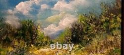 Blue Ridge Mountain Trail Cloudy landscape Painting signed Framed Impressionism