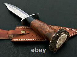 Custom Beautiful eTched D2 Steel 15 bowie Knife antler deer WOOD handle