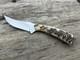 Custom Handmade Sharpfinger Style Knife Full Tang D2 Steel Sheep Horn Usa
