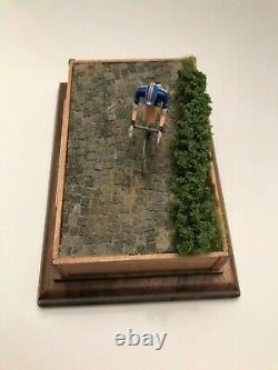 Cycling Legends Roger De Vlaeminck 1976 Paris-Roubaix, Hand Made in Colorado USA