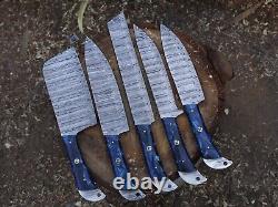 EDCDamascus handmade Chef Knife 5 Pc Set Best Gift Kitchen Knives Set WithL/Sheath