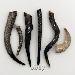 Eland Oryx Waterbuck Kudu Blesbok Shofar Horns 18-27 Set KOSHER Free Shipping