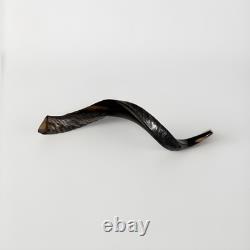 Eland Oryx Waterbuck Kudu Blesbok Shofar Horns 18-27 Set KOSHER Free Shipping