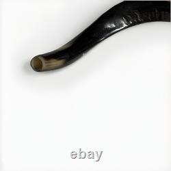 Eland Oryx Waterbuck Kudu Blesbok Shofar Horns 18-27 Set KOSHER Free Shipping