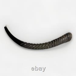 Eland Oryx Waterbuck Kudu Blesbok Shofar Horns 18-27 Set KOSHER Free Shipping