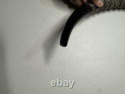 Eland Oryx Waterbuck Kudu Blesbok Shofar Horns 18-27 Set KOSHER Free Shipping