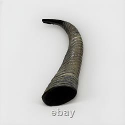 Eland Oryx Waterbuck Kudu Blesbok Shofar Horns 18-27 Set KOSHER Free Shipping