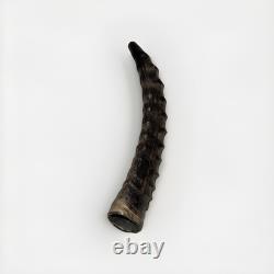 Eland Oryx Waterbuck Kudu Blesbok Shofar Horns 18-27 Set KOSHER Free Shipping