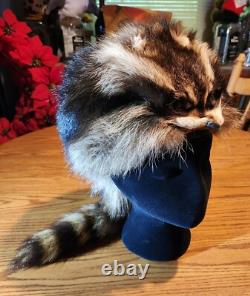 Fur Hat Racoon Whole Skin withRemovable Knit Liner Sz L to XL EUC Hand Made in USA