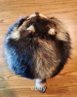 Fur Hat Racoon Whole Skin withRemovable Knit Liner Sz L to XL EUC Hand Made in USA