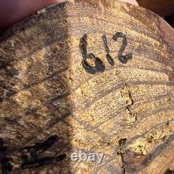 Gorgeous Live Edge Hand Turned, One of a Kind Black Walnut- Knotty Bowl! GIFT