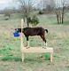 Hand-crafted 42 Natural Pine Goat Milking Stand For Med-large Goats Made In Usa