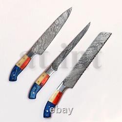 Handmade Damascus Kitchen Chef 7 Knives Set With USA Flag Style Steel Bolsters