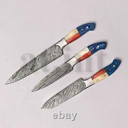 Handmade Damascus Kitchen Chef 7 Knives Set With USA Flag Style Steel Bolsters