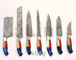 Handmade Damascus Kitchen Chef 7 Knives Set With USA Flag Style Steel Bolsters