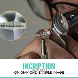 IGI Certified 4.00 CT F VS1 Lab Grown Diamond Stud Earrings 14K White Gold