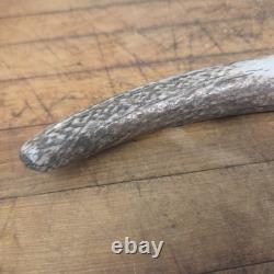 Knightedge stag handle fixed blade knife