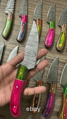 LOT OF 50 8 inches HANDMADE DAMASCUS STEEL SKINNER KNIFE USA Duty PAID