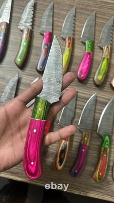 LOT OF 50 8 inches HANDMADE DAMASCUS STEEL SKINNER KNIFE USA Duty PAID