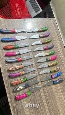 LOT OF 50 8 inches HANDMADE DAMASCUS STEEL SKINNER KNIFE USA Duty PAID