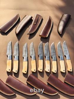Lot of 10 Damascus steel Skinning knife with leather sheath