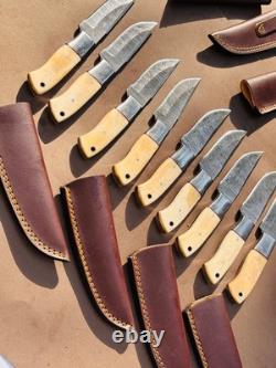 Lot of 10 Damascus steel Skinning knife with leather sheath