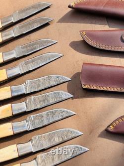 Lot of 10 Damascus steel Skinning knife with leather sheath