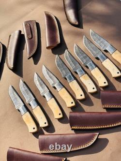 Lot of 10 Damascus steel Skinning knife with leather sheath