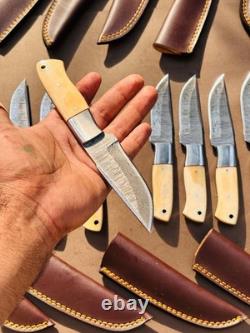 Lot of 10 Damascus steel Skinning knife with leather sheath