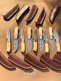 Lot of 10 Damascus steel Skinning knife with leather sheath