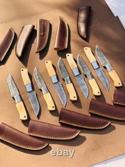Lot of 10 Damascus steel Skinning knife with leather sheath