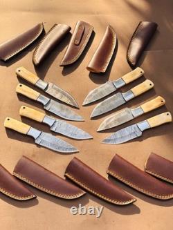 Lot of 10 Damascus steel Skinning knife with leather sheath