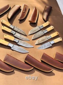 Lot of 10 Damascus steel Skinning knife with leather sheath